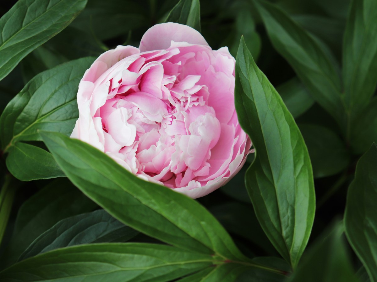 Art of What We Keep, The Grace of What We&nbsp;Lose