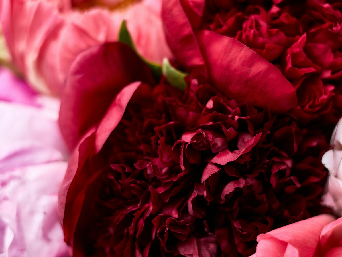 Farewell, With Lipstick and&nbsp;Grace