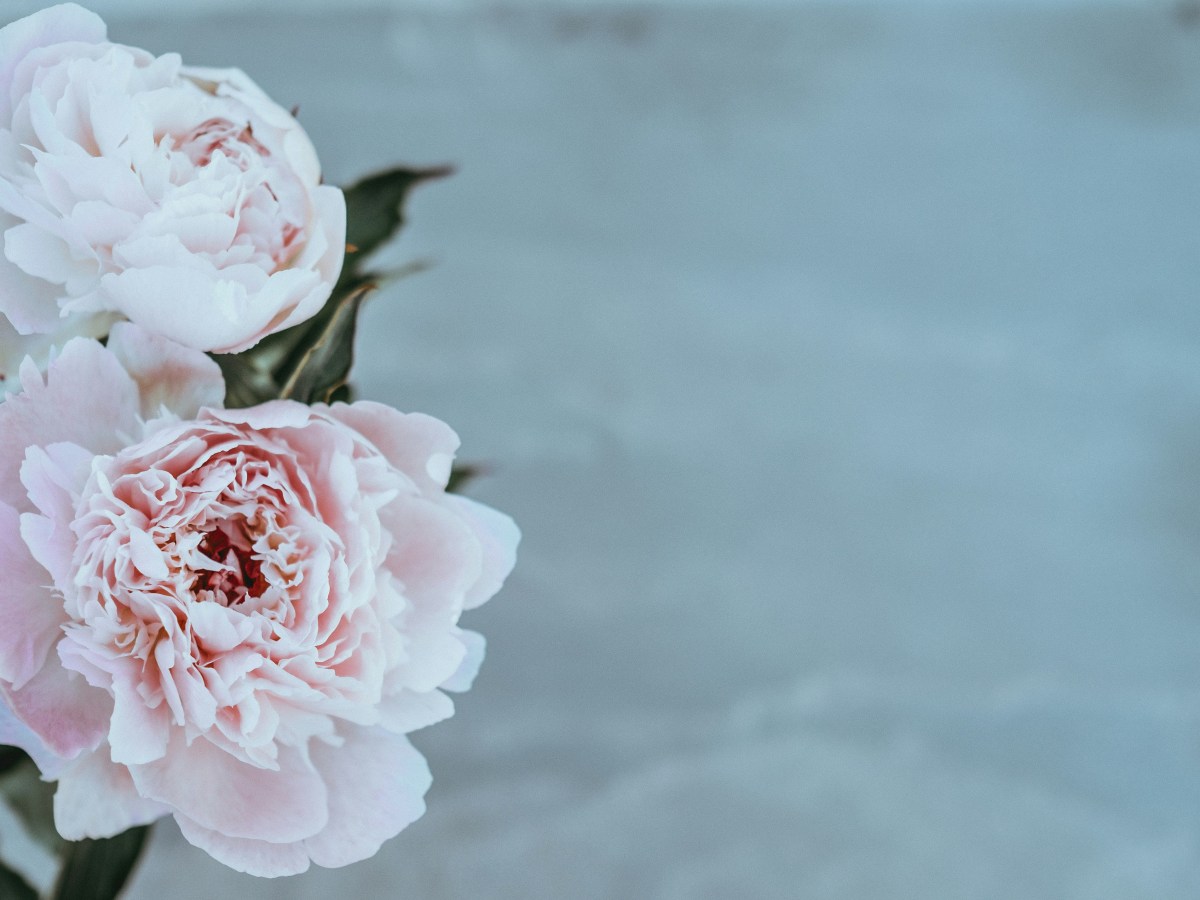 Buttoned Up, Blessed, and Not Looking&nbsp;Back