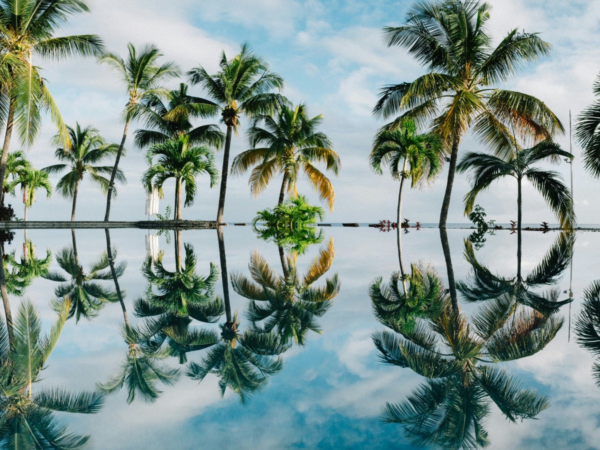 “If You Want to Test These&nbsp;Waters”