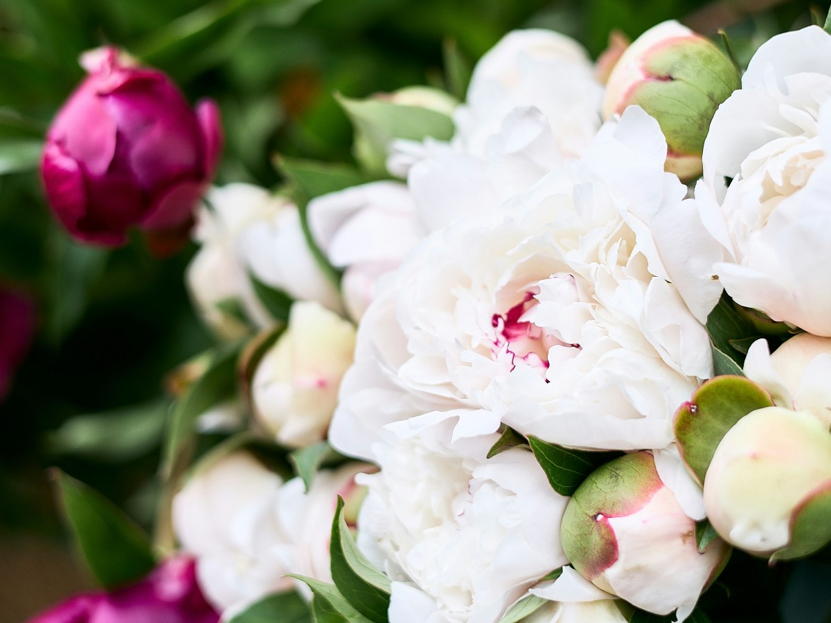 Obituary for What No Longer Belongs to&nbsp;Me