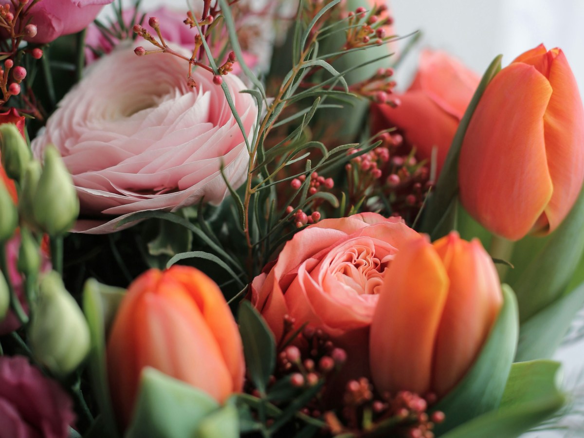 Turns Out, I’m New&nbsp;Here