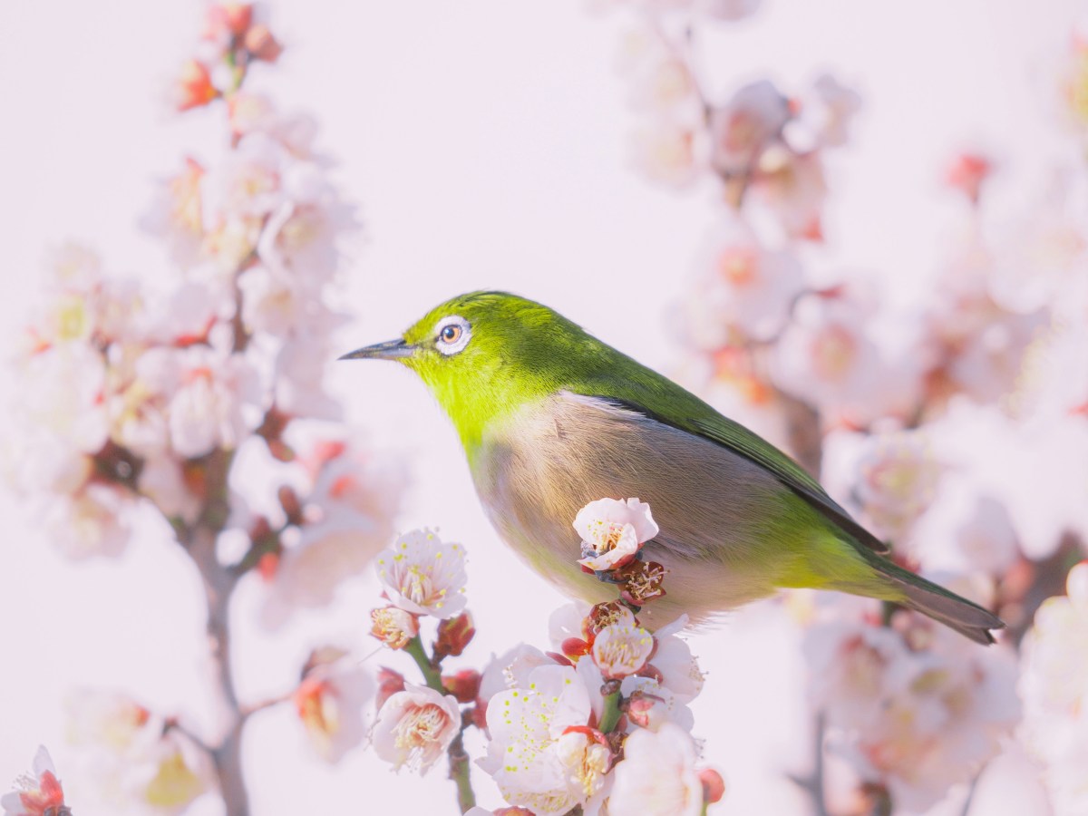 The Curriculum of Quiet&nbsp;Things