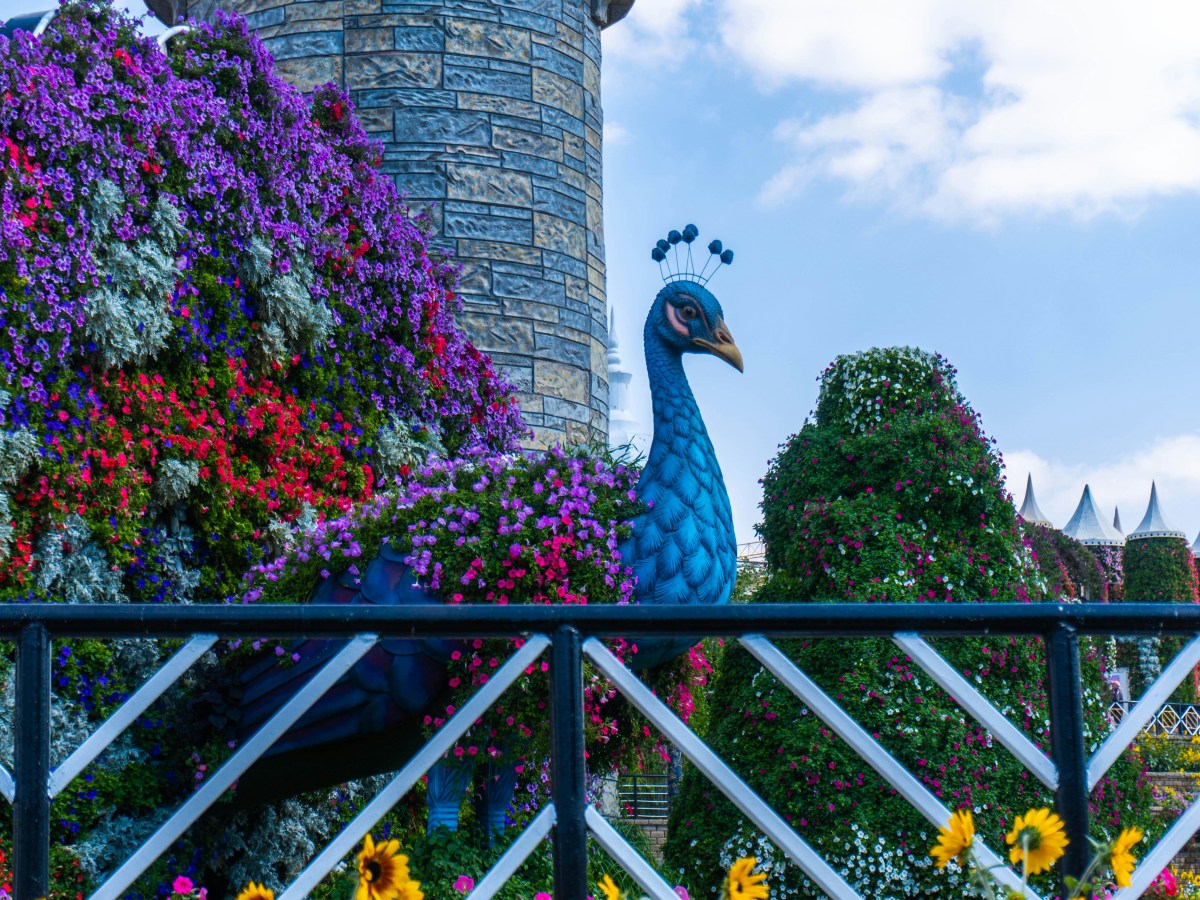 A Celebration, Undisturbed