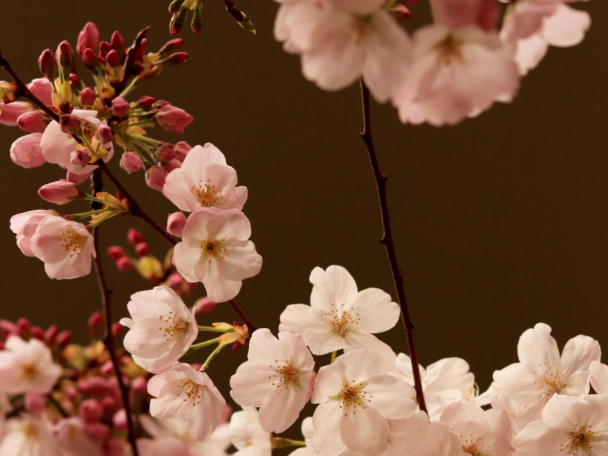 Vital Signs of&nbsp;Wealth