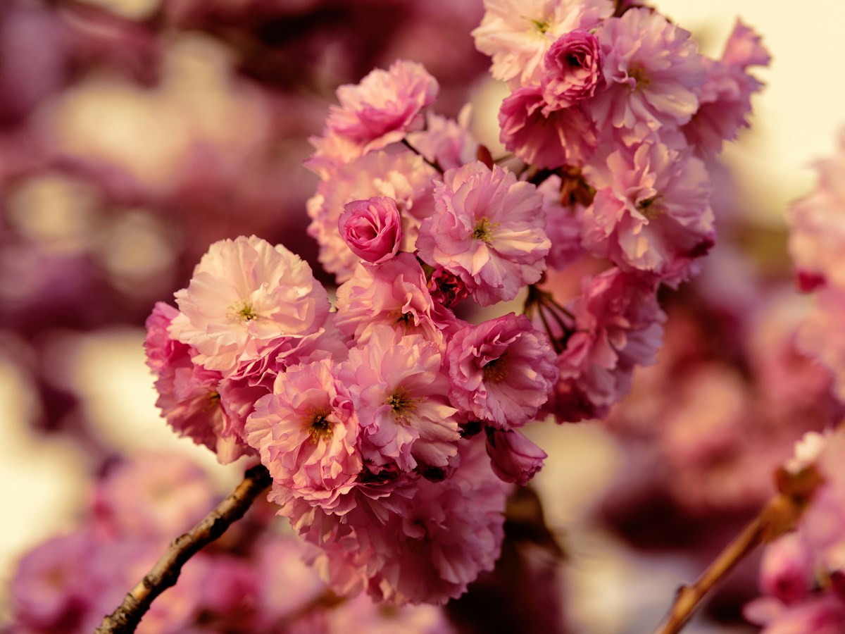 Happy New Year,&nbsp;April