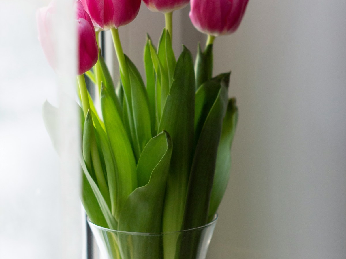 March, With Intention