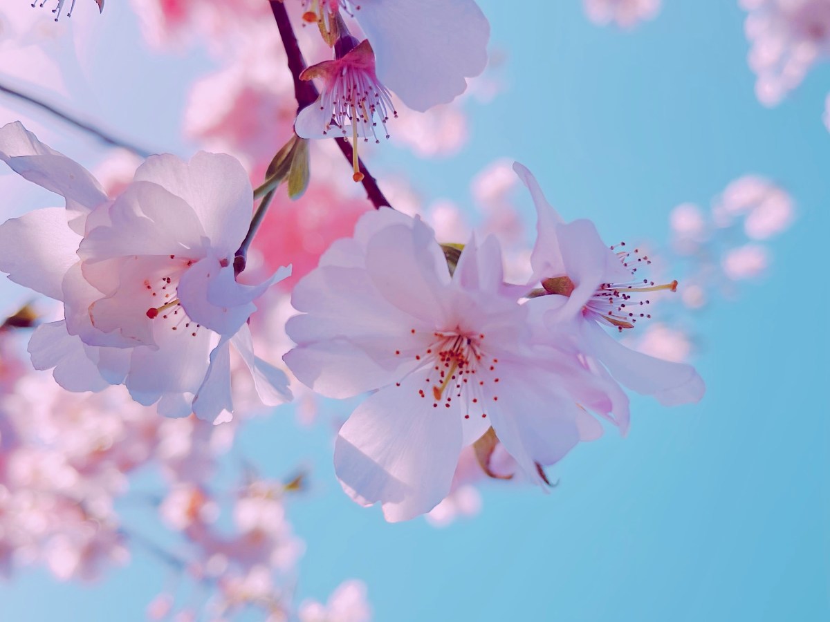 Yes, Finally—With Style