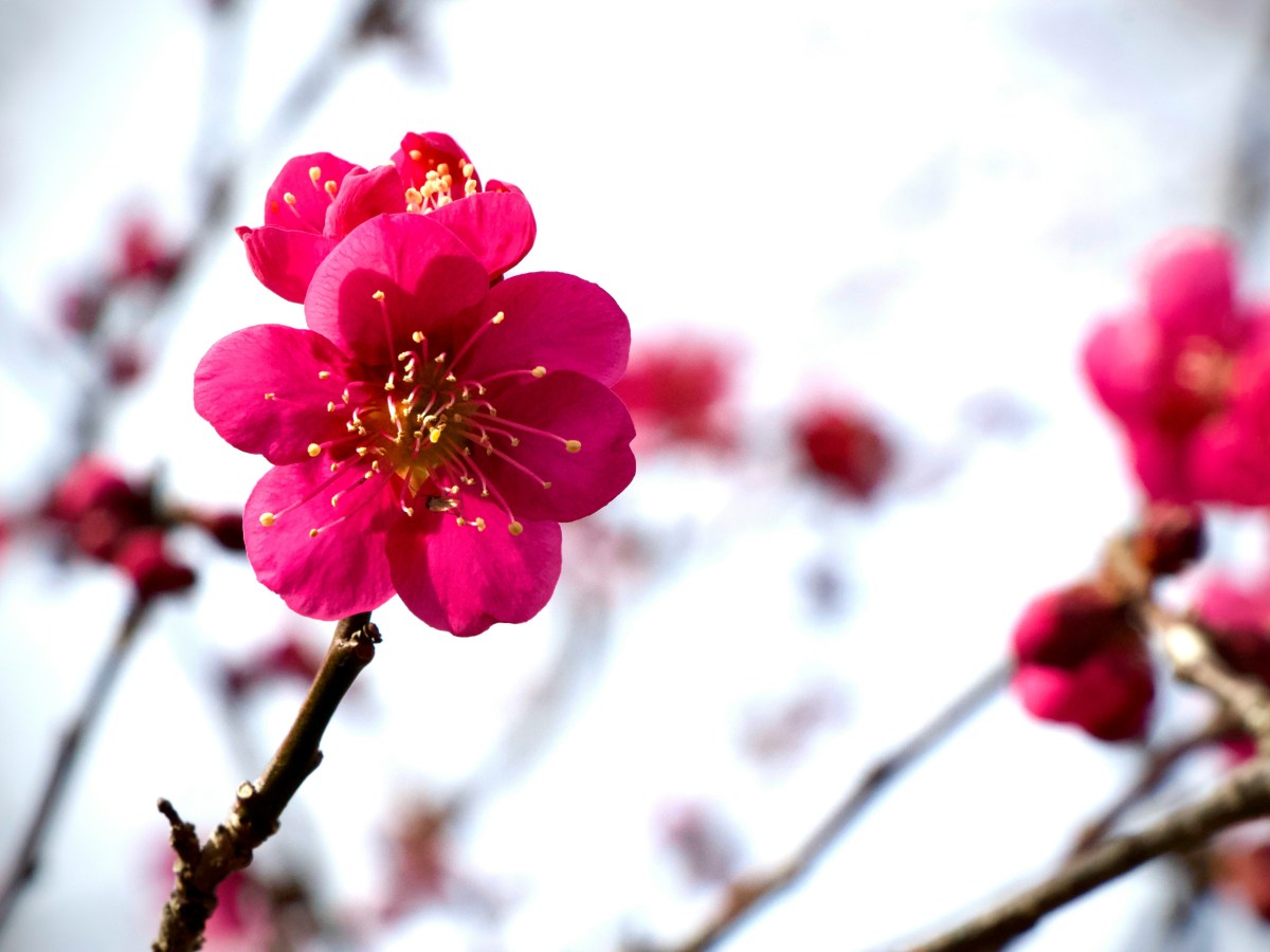 On Elevation (A Conversation with&nbsp;Myself)