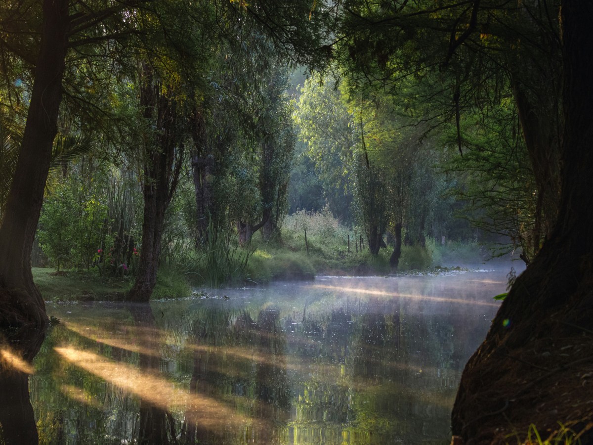 The Less They&nbsp;Know