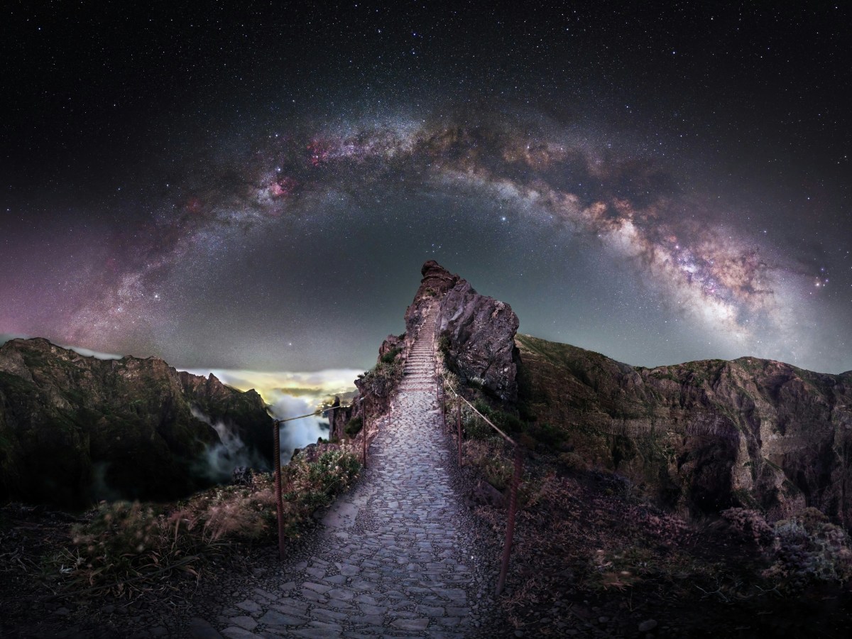 Laughter, in Its&nbsp;Element