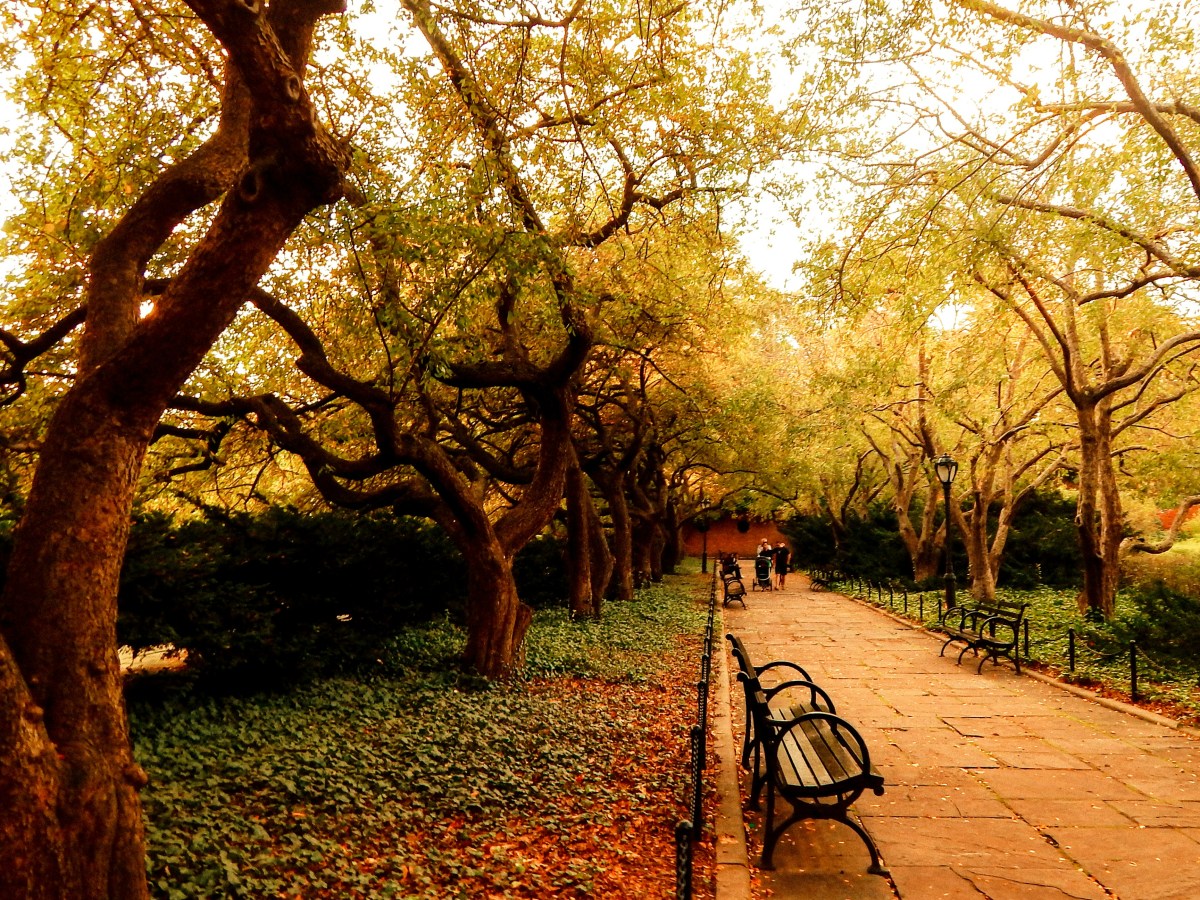Autumn in New&nbsp;York